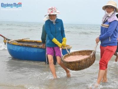 Ngư dân Quảng Ngãi trúng mùa ruốc
