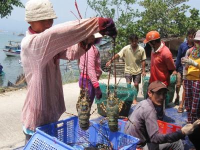 Cần những giải pháp căn bản