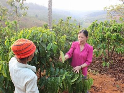 Vào tổ hợp tác, vừa đoàn kết vừa làm giàu