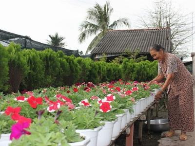 Sản xuất giống, phân bón được vay tới 20 tỷ đồng/năm