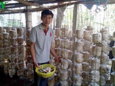 Làm giàu từ nghề trồng nấm