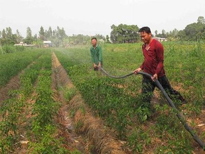 Tưới nhỏ giọt công nghệ thích ứng với hạn hán