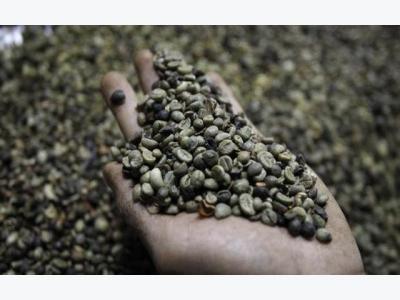 Vietnams coffee prices hit highest since late 2011 on lack of good beans