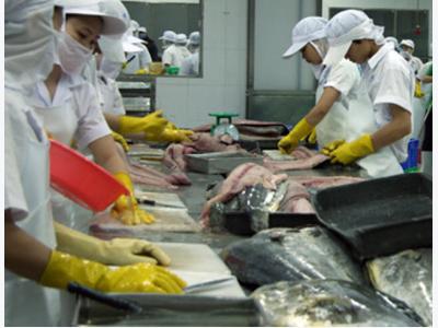 Vietnam tuna shipment targets to up 8% in 2017