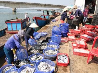 Agro-forestry-fishery export value increases