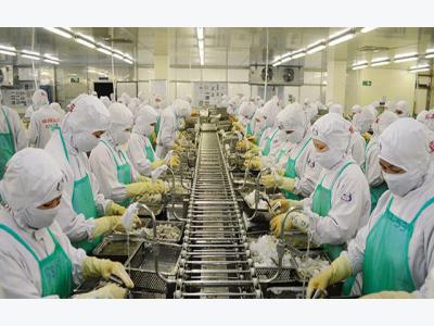 Cà Mau: Phát triển con tôm gắn bảo vệ môi trường