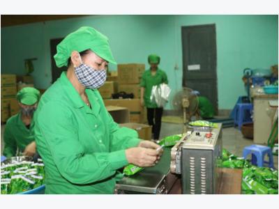 Vietnamese tea firms eye US market