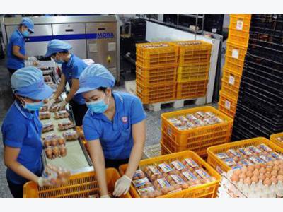 HCM City poultry meat, eggs to carry details of origin