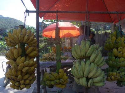 Vietnams bananas in big paradox