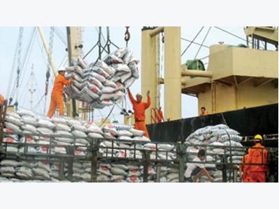 Rice exports of Vietnam face tough year ahead