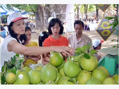 Nông dân biến nông nghiệp thành du lịch ruộng đồng