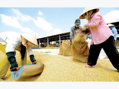 MoIT paves way for rice export comeback