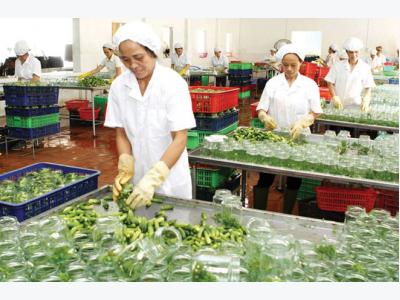 Production in the value chain – Development trend of agricultural enterprises