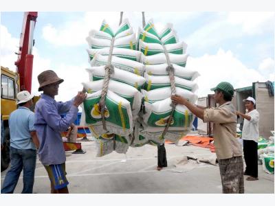 Nóng: Philippines cần nhập khẩu 800.000 tấn gạo