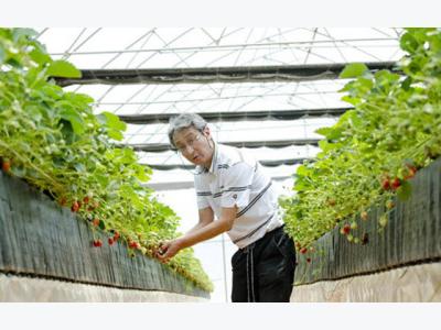 Nông nghiệp Tây Nguyên tấn công vào công nghệ cao