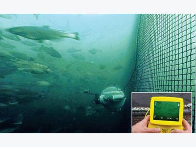 Nuôi trồng thủy sản: Sự lên ngôi của công nghệ tự động