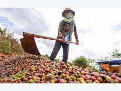 India, Vietnam halt trade war on agricultural imports
