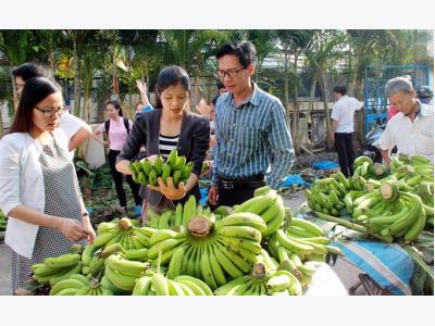 Price fluctuations trouble for farmers in Đồng Nai