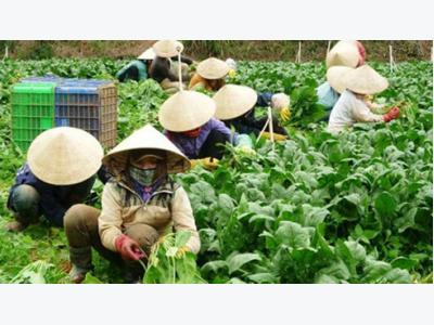 Agri-techs fields grow FDI interest