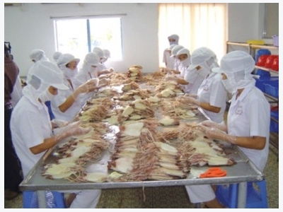 Up 40% in Vietnam cephalopod exports