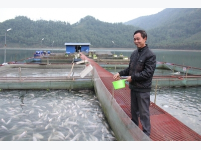 Kính nể lão nông nghiệp dư nuôi cá lồng kết hợp trai lấy ngọc, thành công bất ngờ