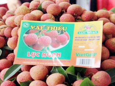 Geographical indication of Luc Ngan litchi protected in Japan