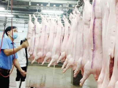 The difficulties in reaching Vietnams agricultural export target