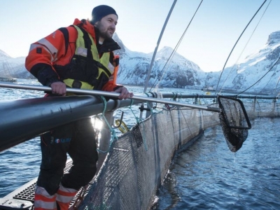 The Truth About Norwegian Farm-Raised Salmon