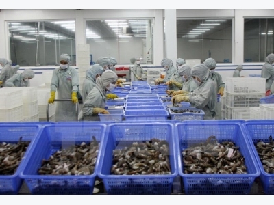 VASEP asks US to review anti-dumping duty on Vietnamese shrimp