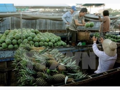 Cần Thơ aims to lift fruit exports