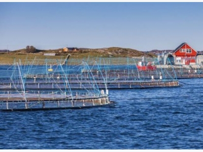 How to make the fish farming industry more climate friendly