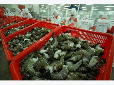 VASEP says DOCs antidumping rate on shrimp inaccurate