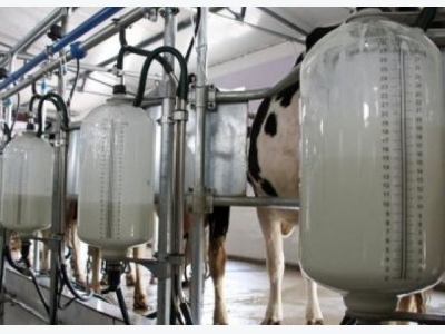 N&H TOPLINE: New methods predict methane emissions of dairy cattle