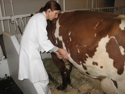 We carry viruses from barn to barn