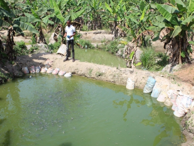 Pooling knowledge: practice ponds help spread success