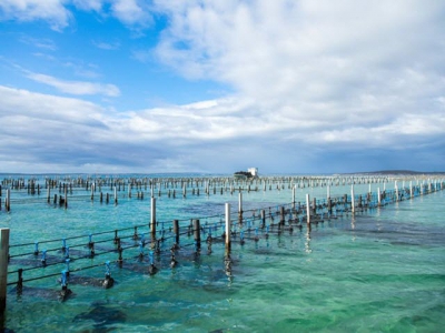 Benefits of aquaculture are being overlooked