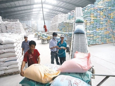 Vietnam reconsidering rice production, export plans