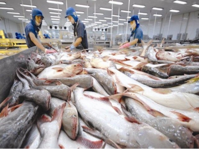Fishery industry will increase value of seafood products