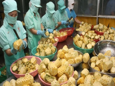 Viet Nam focuses on processing of agricultural produce for export