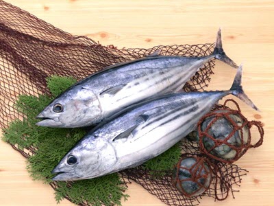 Giá cá ngừ, giá tôm hùm tại Phú Yên 04-03-2021