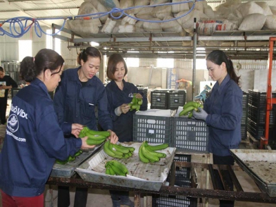 Hoa Binh develops market for key agricultural products