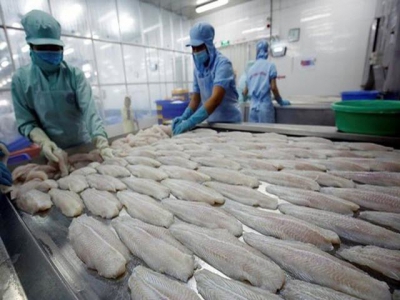 Pangasius fish exports to UK surge