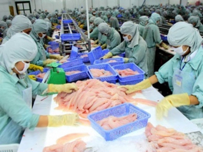 Vietnamese pangasius exporters urged not to panic as China conducts additional inspections