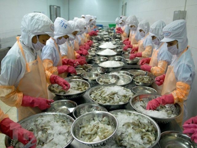 Shrimp exporters bring home 3.85 billion USD in 2020