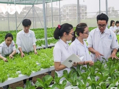 Agricultural sector meets dual goal, seeks new outlets