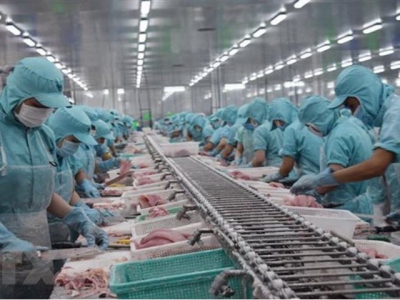 Vietnam concerned about Brazils rules on aquatic imports