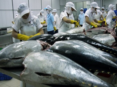 Vietnams tuna exports to US increase