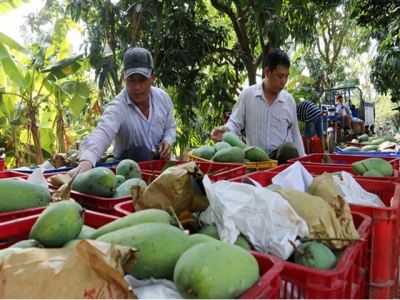 An Giang Province keen to set up agricultural co-operatives