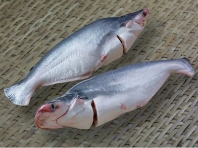 4 companies exporting pangasius to the US under no anti-dumping tax