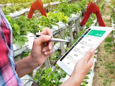 14 agritech startups to watch, according to top investors